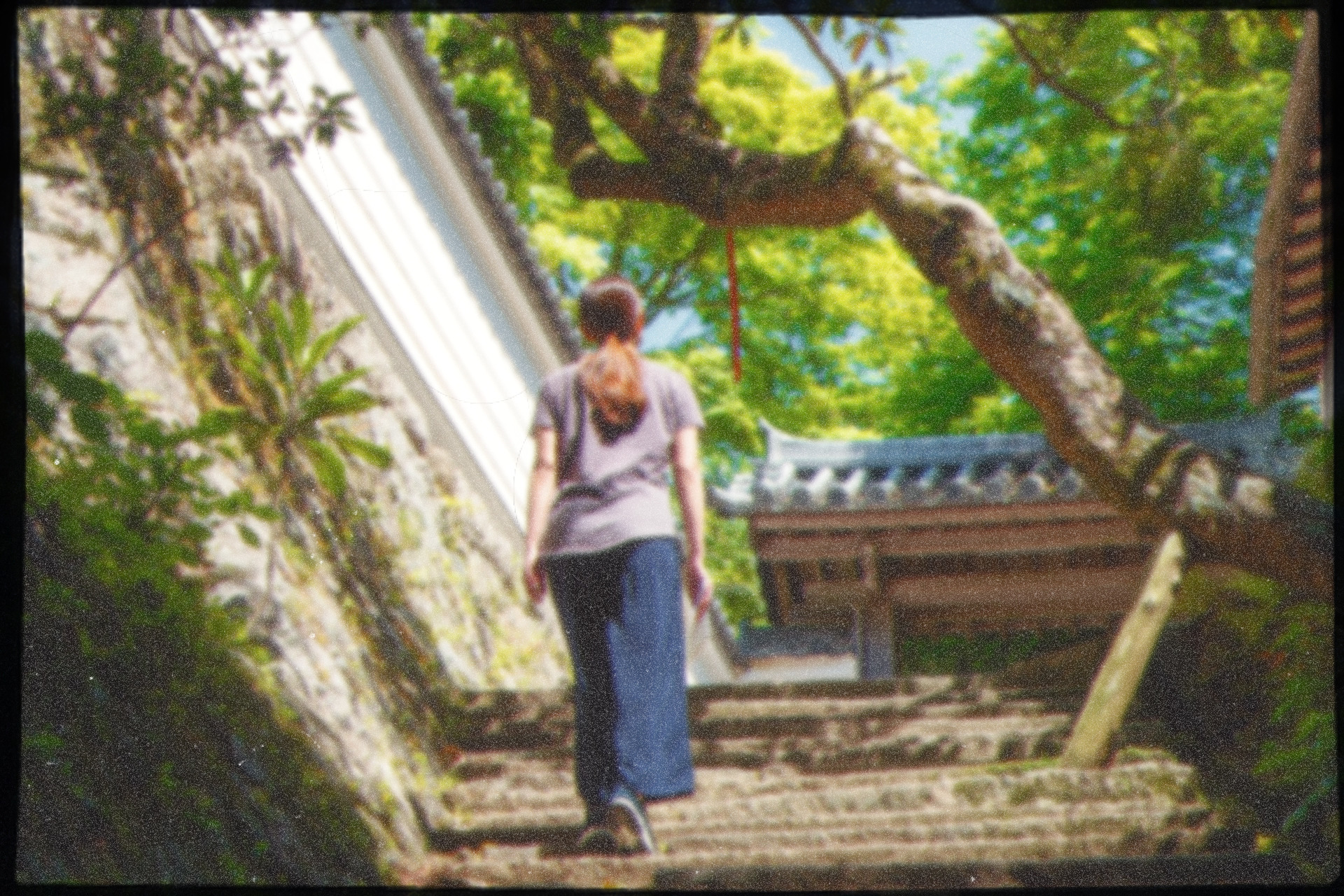 石段を上る人の後ろ姿
